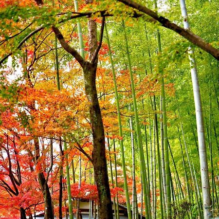 Kyoto Yadomachi Nishijin Apartment Bagian luar foto