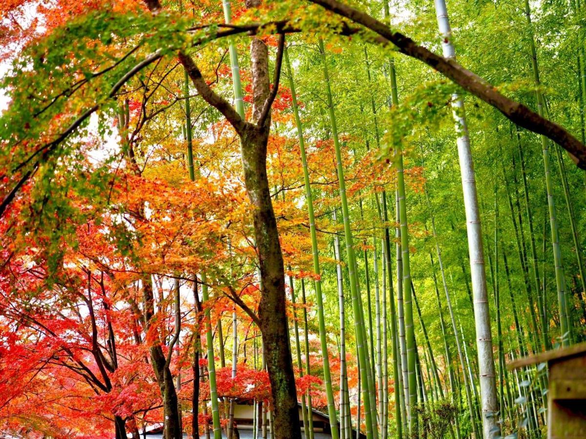 Kyoto Yadomachi Nishijin Apartment Bagian luar foto